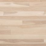 Barewood Birch